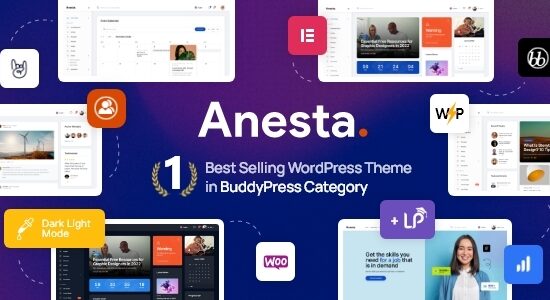 Anesta - Intranet, Extranet, Community and BuddyPress WordPress Theme