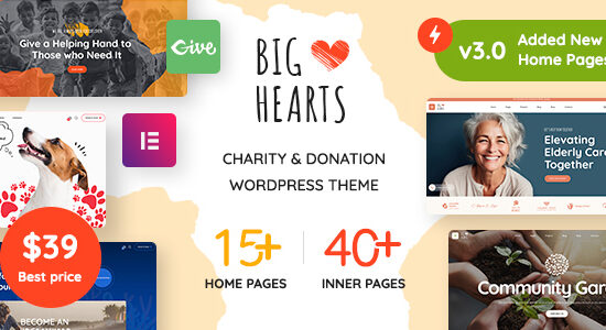 BigHearts - Charity & Donation WordPress Theme