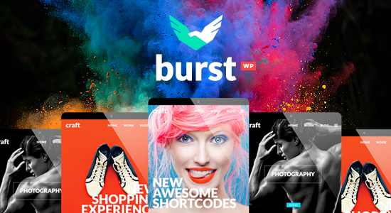 Burst - Creative Design Agency WordPress Theme