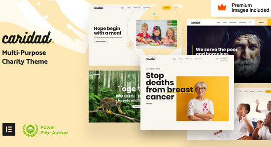 Caridad - Charity WordPress Theme