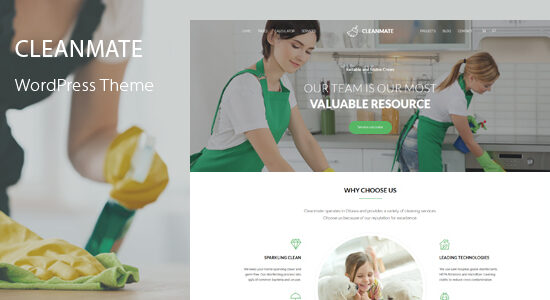 CleanMate - Chủ đề WordPress về vệ sinh