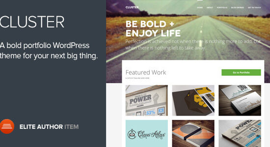 Cluster - Một chủ đề Wordpress Portfolio táo bạo