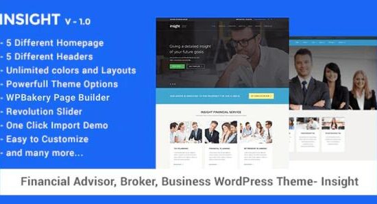 Financial Advisor, Business WordPress Theme - Insight