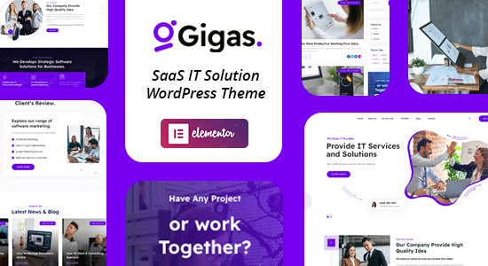 Gigas - Khởi nghiệp phần mềm, chủ đề WordPress SaaS