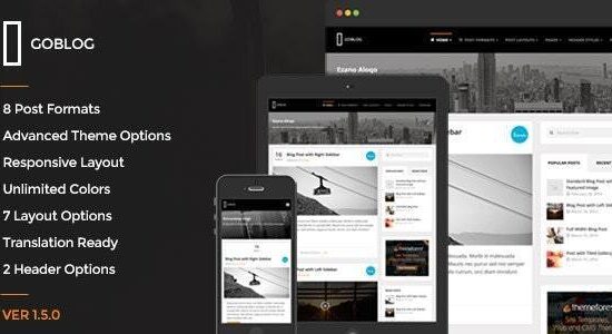 GoBlog - Responsive WordPress Blog Theme