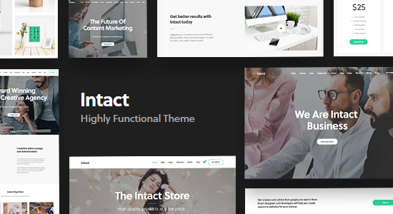 Intact - Multi-Purpose WordPress Theme