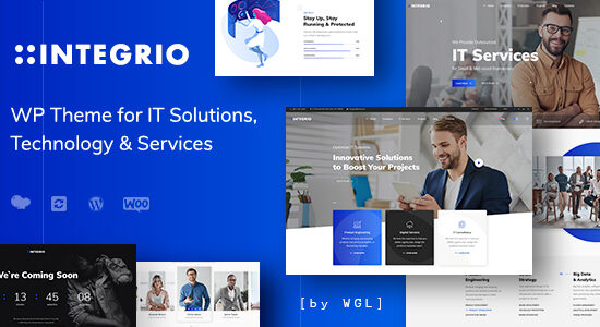 Integrio - Công ty dịch vụ và giải pháp CNTT Theme WordPress