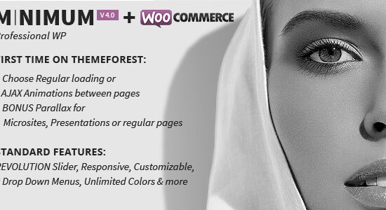 MINIMUM - Professional WordPress Theme