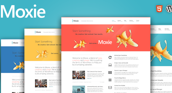 Moxie - Responsive Theme for WordPress