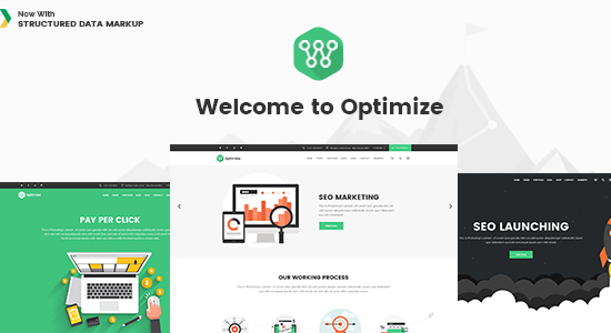 Optimize - SEO & Social Media Theme