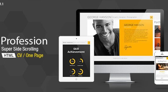 Profession - One Page CV Resume Theme