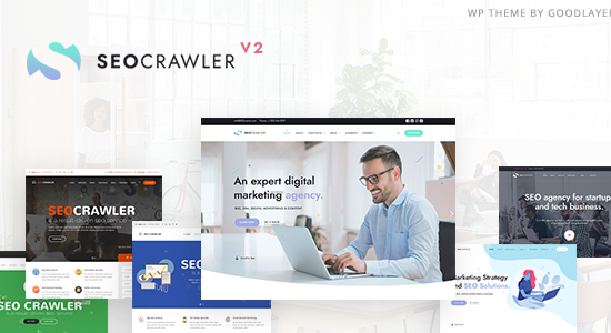 SEOCrawler - Công ty SEO & Tiếp thị WordPress