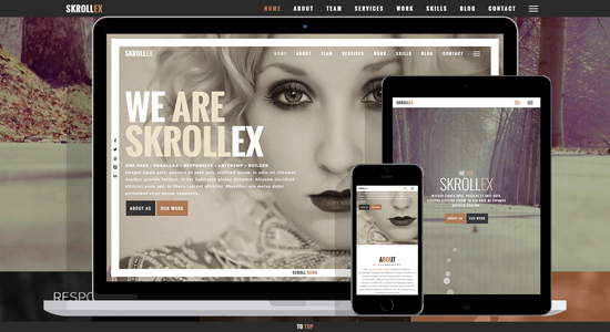 Skrollex - Creative One Page Parallax - WordPress Theme