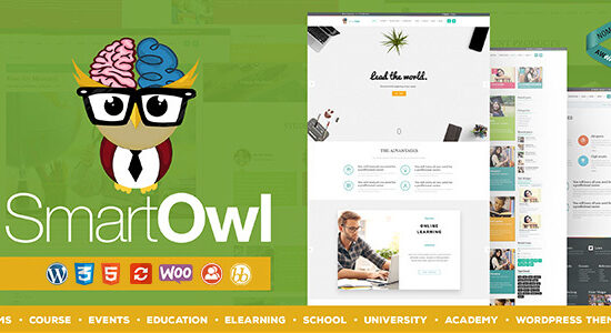 SmartOWL - LMS Education WordPress Theme