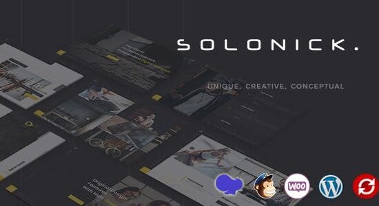 Solonick - Chủ đề WordPress danh mục đầu tư cá nhân