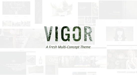 Vigor - Vintage WordPress Theme