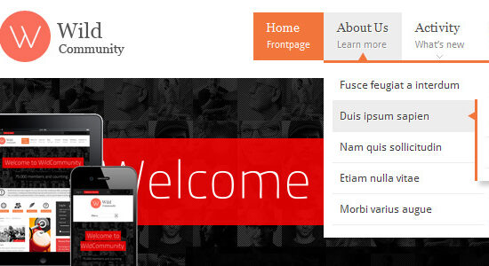 WildCommunity - BuddyPress Community Theme