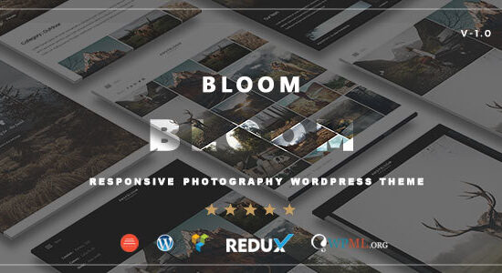 Bloom - Chủ đề WordPress về Nhiếp ảnh / Danh mục đầu tư phản hồi