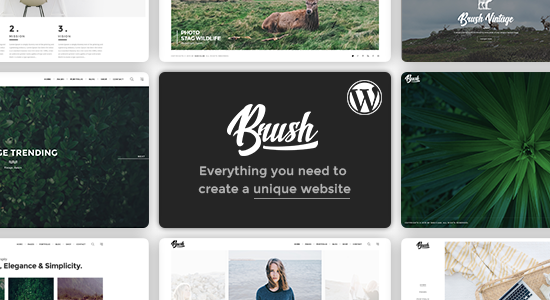 Brush - Một chủ đề WordPress đa năng