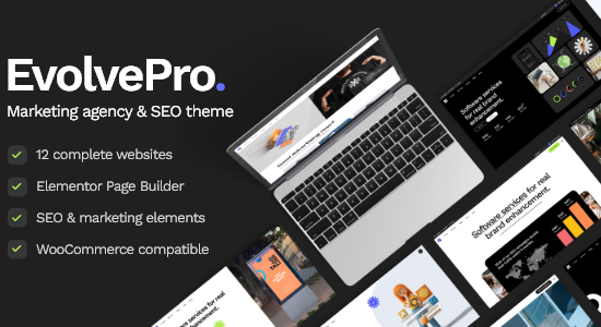 EvolvePro - Công ty tiếp thị & Chủ đề WordPress SEO