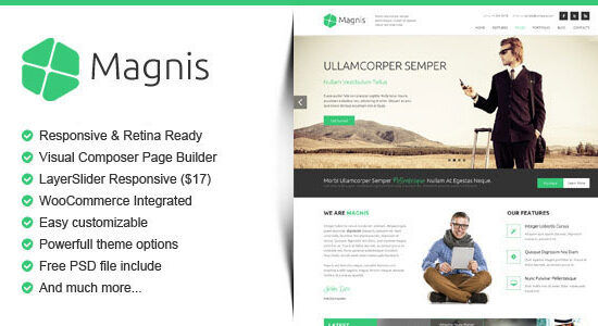 Magnis - Chủ đề WordPress đa năng cho doanh nghiệp