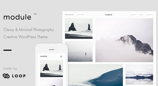 Module – Chủ đề WordPress về nhiếp ảnh tối giản