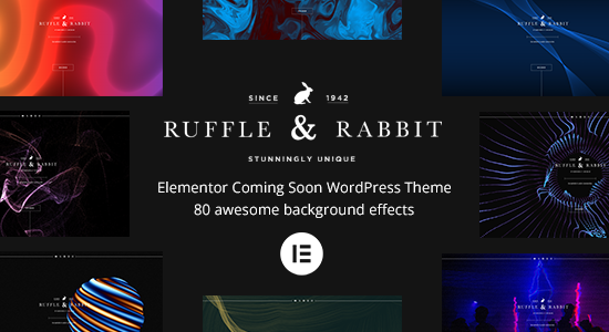 Rabbit - Chủ đề WordPress sắp ra mắt của Elementor