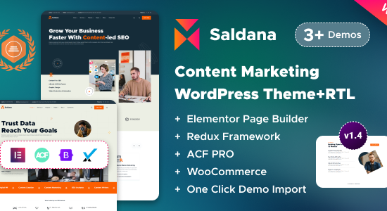 Saldana - Dịch vụ tiếp thị nội dung & viết quảng cáo Chủ đề WordPress Elementor