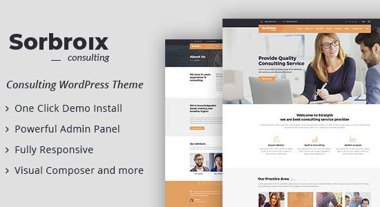 Sorbroix : Chủ đề WordPress tư vấn kinh doanh