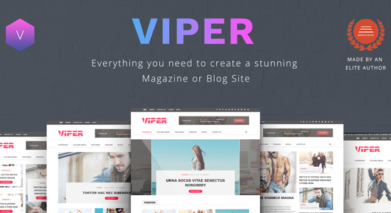 Viper - Theme WordPress cho báo và tạp chí