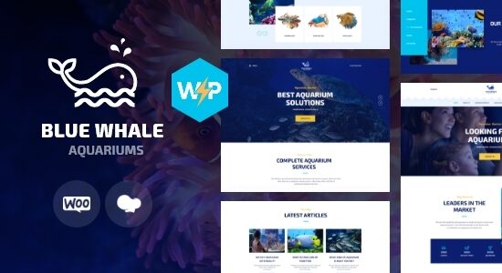 Aqualots | Dịch vụ lắp đặt và bảo trì bể cá Theme WordPress