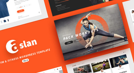 Aslan - Modern Gym & Fitness Responsive WordPress Theme