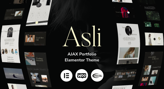 Asli – Chủ đề WordPress của AJAX Portfolio Elementor