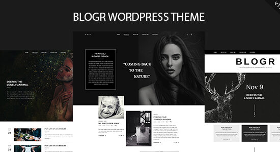 BLOGR - Chủ đề WordPress dành cho những người viết blog đặc biệt