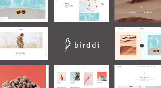 Birddi - Một chủ đề WordPress danh mục đầu tư sáng tạo