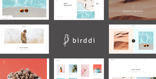 Birddi - Một chủ đề WordPress danh mục đầu tư sáng tạo