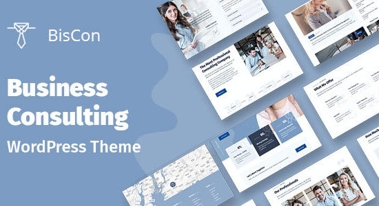 Biscon - Dịch vụ tư vấn kinh doanh WordPress Theme