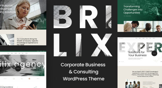 Brilix - Chủ đề WordPress tư vấn và kinh doanh doanh nghiệp