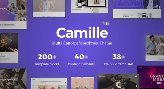 Camille - Chủ đề WordPress đa khái niệm