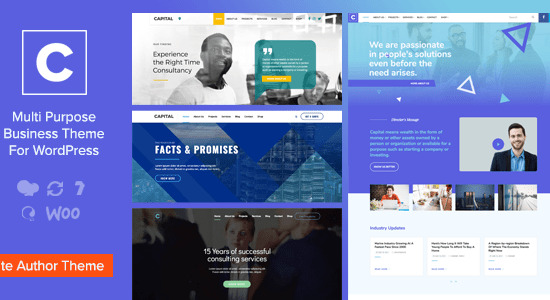 Capital - Chủ đề WordPress kinh doanh đa mục đích