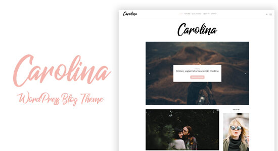 Carolina - Chủ đề blog WordPress đơn giản