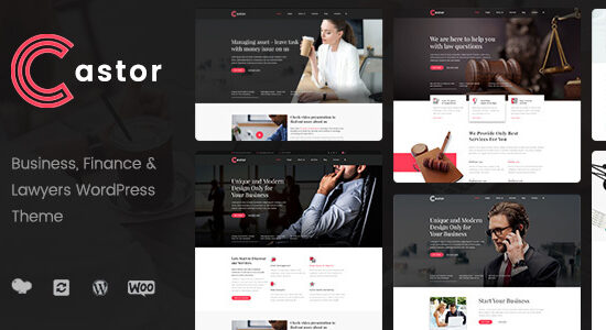 Castor - Chủ đề WordPress tư vấn kinh doanh
