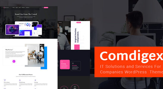 Comdigex - Công ty Giải pháp và Dịch vụ CNTT Theme WP