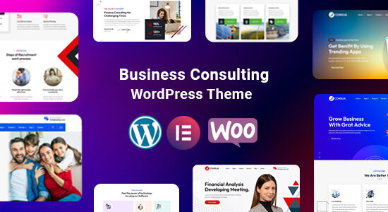 Consua - Tư vấn kinh doanh WordPress