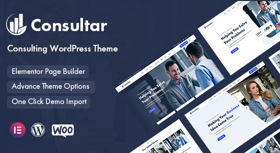 Consultant - Tư vấn kinh doanh WordPress Theme