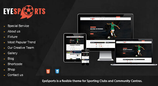 Eye Sports - Lịch thi đấu Chủ đề WordPress