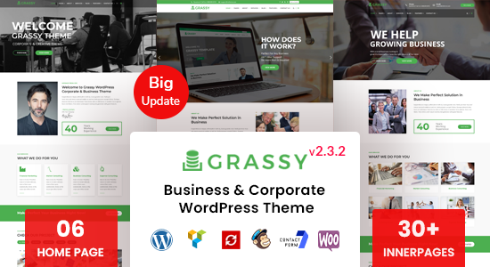 Grassy - Chủ đề WordPress dành cho doanh nghiệp