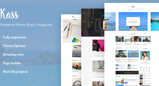 Kass - Chủ đề WordPress đa blog/tạp chí