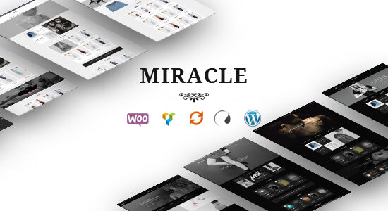 Miracle - Chủ đề WordPress WooC Commerce đáp ứng