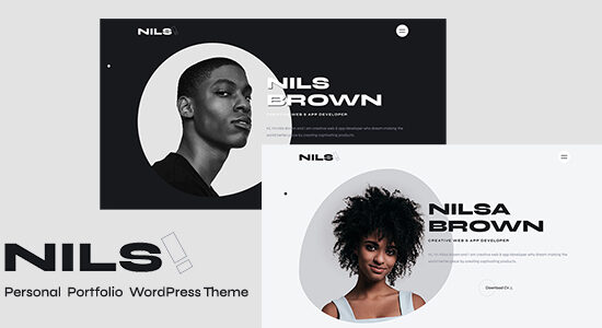 Nils - Chủ đề WordPress danh mục đầu tư cá nhân